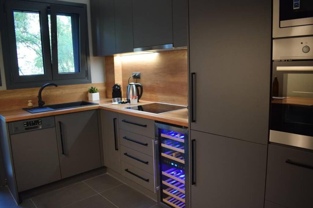 Ockto Luxurious Business Travel Apartment Atene Esterno foto